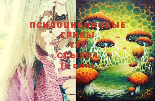 MDMA Premium VHQ Заводоуковск