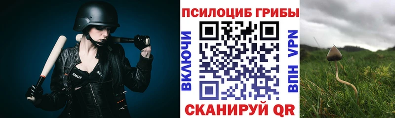 Купить закладки Апрелевка Галлюциногенные грибы ЛСД